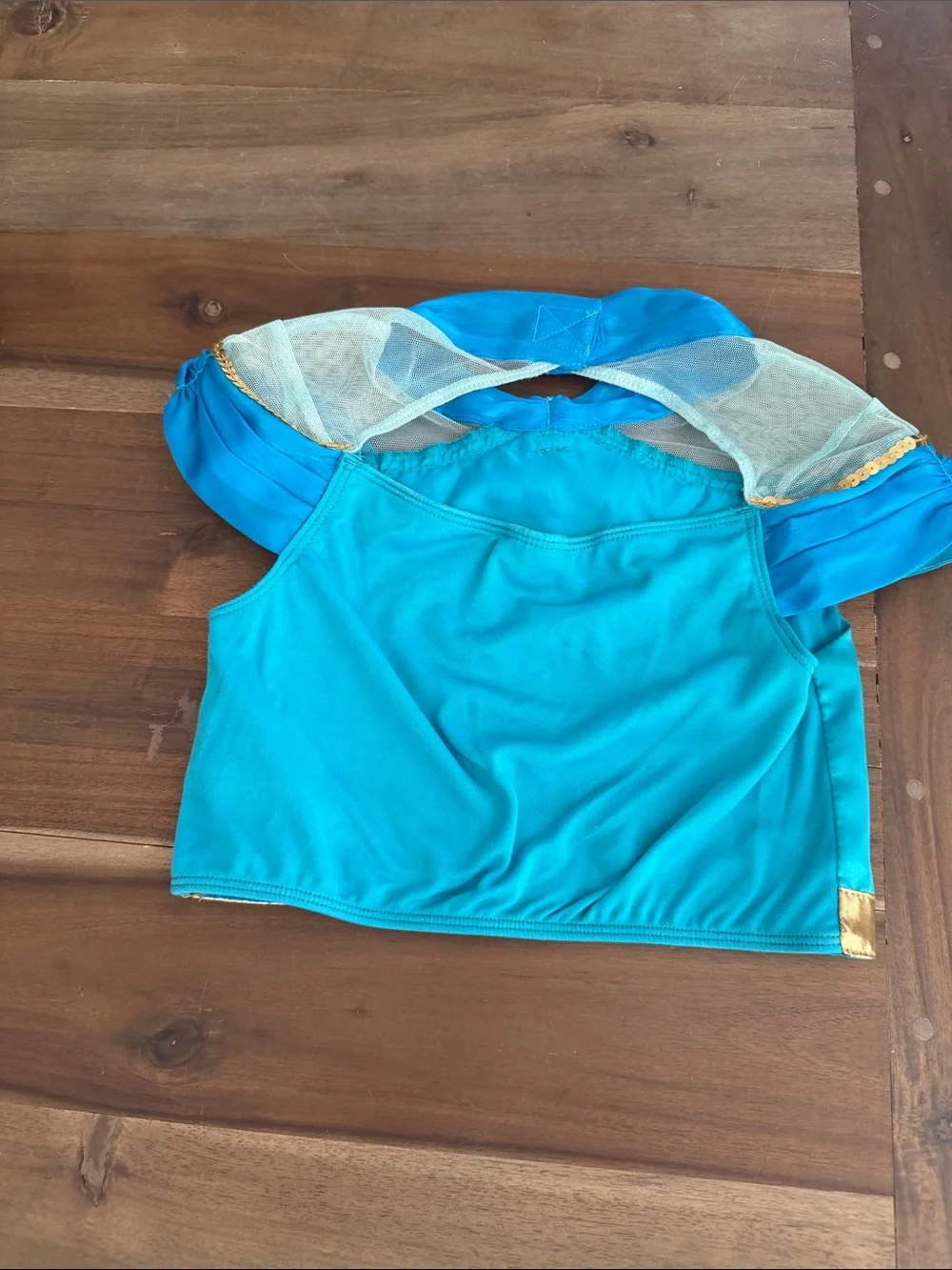 Disneyland Parks Princess Jasmine Dress Size 5/6